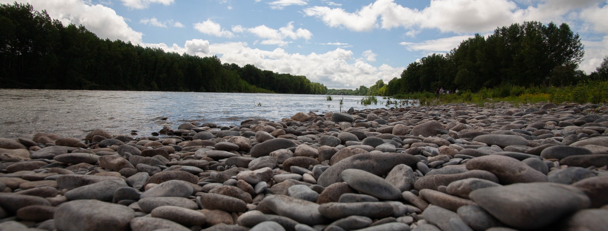 Des galets en berges de Garonne à Saint-Laurent (47) - Photo Kevin Figuier