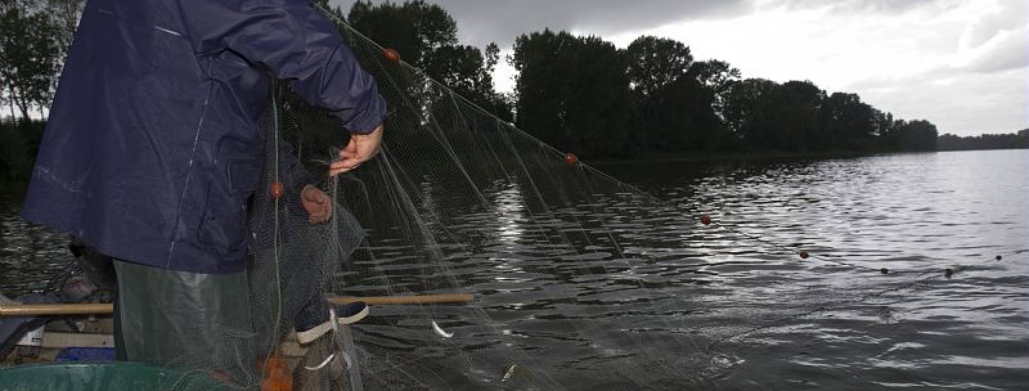 Suivi des alosons dans la Garonne en Lot-et-Garonne, LIFE alose, pêche du 18 Juillet 2011 : pêche de jour au filet araignée